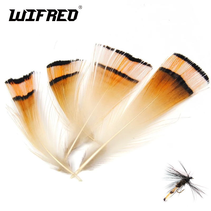 Fishing Equipment Brands - 50 sztuk naturalny kolor złoty bażant